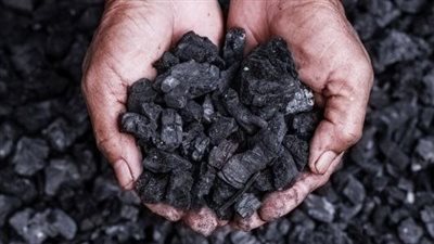  البيئة تتيح قروضا ميسرة بمنحة 20% لتوفيق أوضاع أفران الفحم النباتي