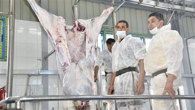 محافظ الغربية يعلن عن غلق مجزر طنطا