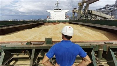 تراجع واردات مصر من القمح الروسي بنسبة 24.7% في 6 أشهر