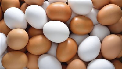 المواد الغذائية: بيض المائدة يواصل ارتفاعاته الجنونية والطبق يسجل 75 و77 جنيها