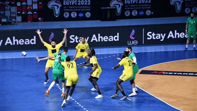 الجزائر تهزم غينيا وتخطف آخر مقعد في بطولة العالم لكرة اليد