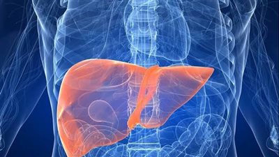 الصحة: فيروس الكبد B أكثر شراسة من الالتهاب الكبدي C