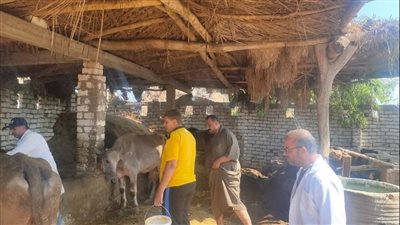 استمرار حملات التحصين ضد الحمى القلاعية بدمياط 