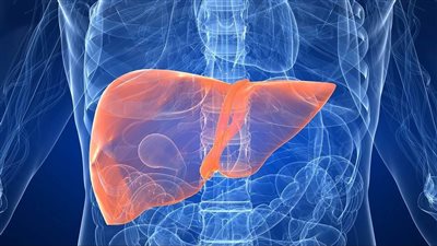 الصحة: إجراء تحليل منتظم للكشف عن فيروس B لمرضى الفشل الكلوي وأمراض الدم