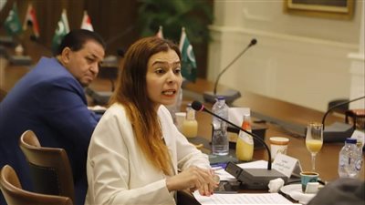 هاجر التونسي ممثلة للمرأة عن حزب الوفد في لجنة الحوار الوطني