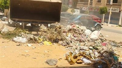 رفع إشغالات ومخلفات حدائق الأهرام | صور