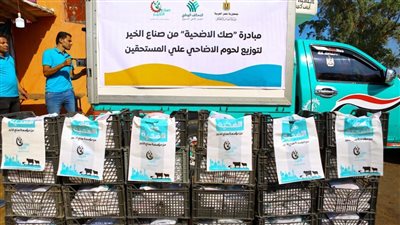 جهود التحالف الوطني للعمل الأهلي التنموي خلال النصف الأول من يوليو وعيد الأضحى | صور