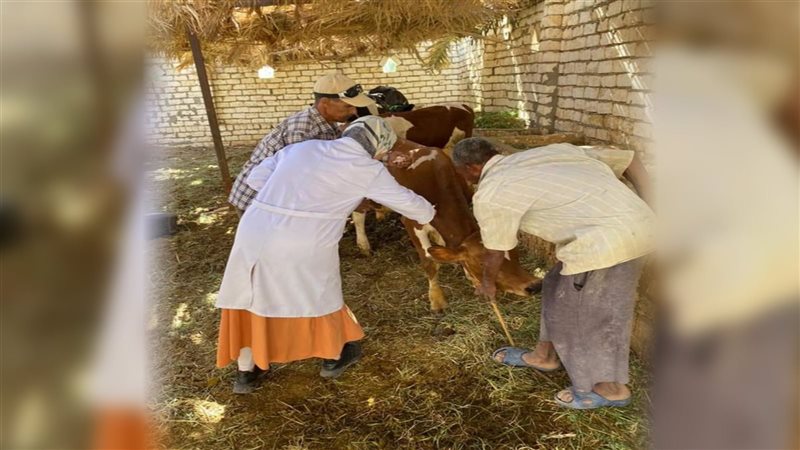 حملة بيطري الوادي