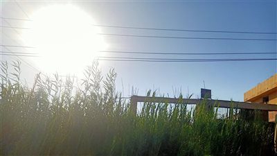 حالة الطقس غدا الاربعاء 20-7-2022 فى قنا