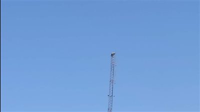 اصطحب حقيبة طعام وماء.. إقناع شاب بالعدول عن الانتحار من أعلى برج إرسال بالطور 