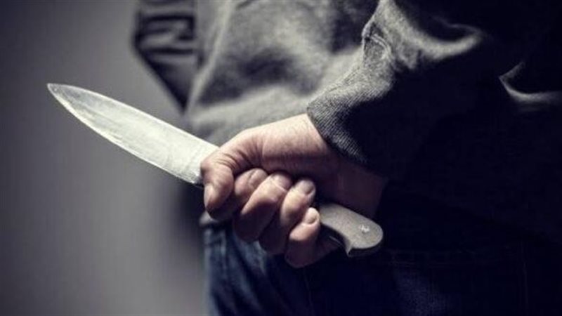 عاطل يقتل شقيقه بالقليوبية