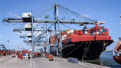 ميناء دمياط يستقبل 8 سفن متنوعة خلال 24 ساعة