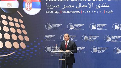 السيسي: مصر تؤكد دائما أن المجتمع الدولي بات يواجه تحديات هائلة