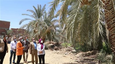 نائبة محافظ الوادي الجديد تتابع أعمال توسعة وفتح طرق جديدة بالخارجة