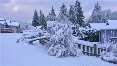 تفسير رؤية البرد في المنام وعلاقته بزوال الهم والفقر