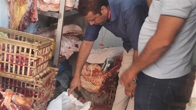 إحباط ترويج طن لحوم فاسدة في الدقهلية 