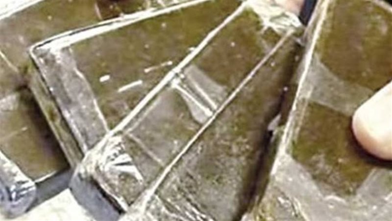 ضبط 12 فرش حشيش 