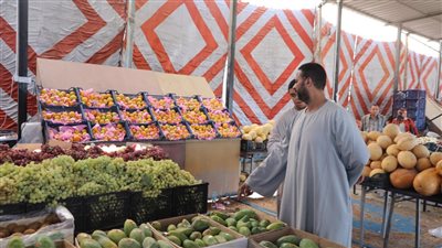 محافظ الجيزة: استمرار إعفاء المواطنين من أي رسوم دخول لسوق أكتوبر | صور