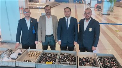 ضبط 8 أجهزة لرسم التاتو بحوزة راكبة أوكرانية بمطار الغردقة 