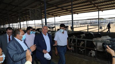 وزير الزراعة يتفقد مزرعة الإنتاج الحيواني وتصنيع الألبان بالنوبارية | صور 