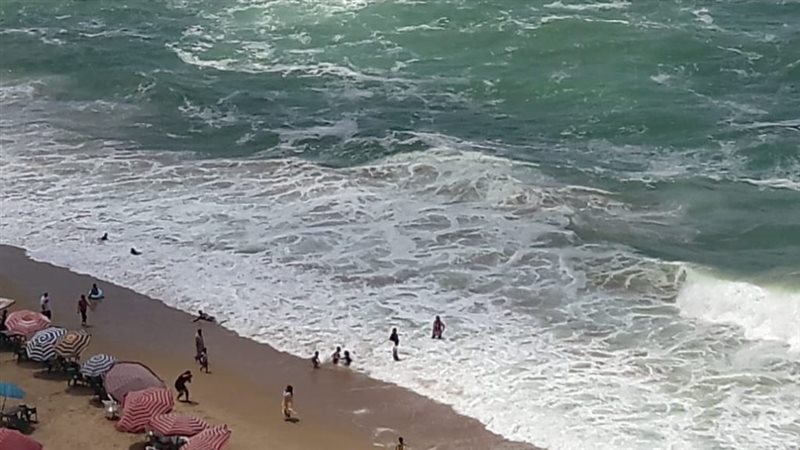 شاطئ النخيل بالإسكندرية