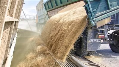 الدفاع التركية: 25 سفينة حبوب غادرت موانئ أوكرانيا