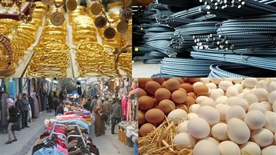  جنون في الأسعار بعد رفع الفائدة.. الذهب يرتفع 30 جنيهًا فى الجرام.. 1300 جنيه زيادة فى طن الأعلاف.. وتحذيرات من ارتفاع الدواجن