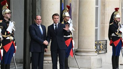  السيسي يطلع ماكرون على استعدادات مصر لقمة تغير المناخ المقبلة بشرم الشيخ