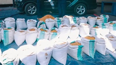 إحباط محاولة تهريب 15 مليون قرص كبتاجون في ميناء جدة