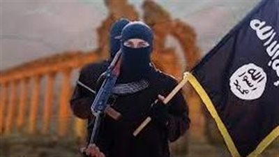 بسبب داعش.. السجن 15 شهرا لجندية أيرلندية سابقة