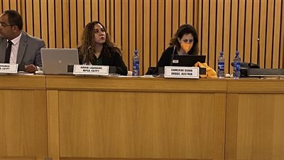 التخطيط تمثل مصر في مؤتمر قياس التدفقات المالية غير المشروعة بأديس أبابا