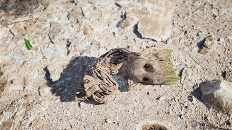  I'm Groot
