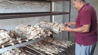 تحرير 10 محاضر في حملة على مخابز مركز ناصر ببني سويف
