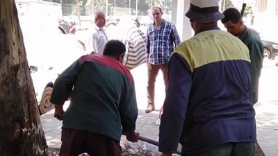 رفع جزء من شجرة سقطت أمام مدرسة أبو الهول بحي جنوب الجيزة | صور