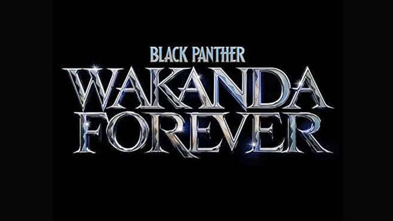  Black Panther: Wakanda