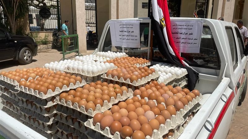 الزراعة تطرح بيض