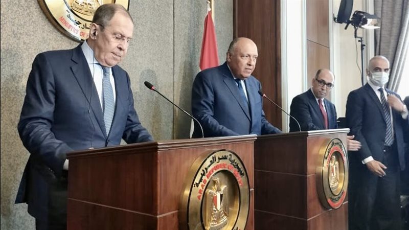 سامح شكرى وزير الخارجية