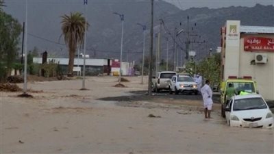 أمطار وسيول.. المياه تغمر الأراضي في نجران بالسعودية | فيديو 