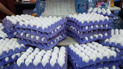 التموين تعلن طرح البيض بـ65 جنيها بالمجمعات