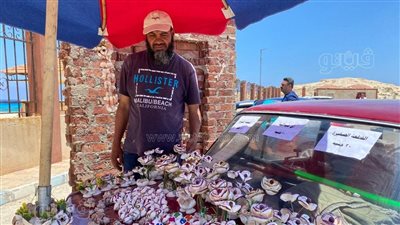  حكاية عم رضا.. صانع المشغولات اليدوية بصدف البحر في مرسى مطروح |صور