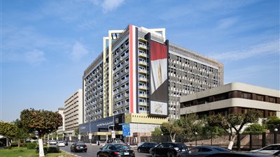 الإحصاء: 32.7 % من المصريين تقدموا للهجرة بسبب الزواج خلال 2017.. وختان الإناث أكثر عوامل الخطر على الصحة الإنجابية 