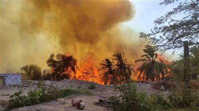 إصابة شخصين في حريق بمزرعة نخيل بالوادي الجديد | صور
