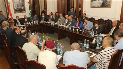 عليا الوفد: استبعاد اللجان النوعية من انتخابات الهيئة المقبلة