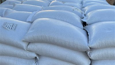 ضبط محاولة تهريب فول وقمح إلى ليبيا بجمرك السلوم