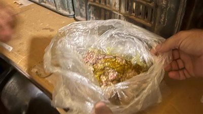 ضبط وجبات جاهزة فاسدة في حملة لصحة الوادي الجديد | صور