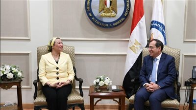 الملا وفؤاد يبحثان تنظيم فعاليات لخفض الكربون بالصناعة البترولية بمؤتمر COP27