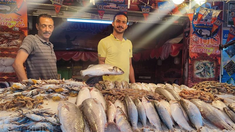 أسعار الأسماك اليوم