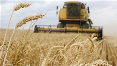 أوكرانيا تطالب بتوسيع اتفاق الحبوب ليشمل منتجات أخرى