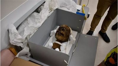 حل لغز رأس مومياء مصرية بعد العثور عليها داخل منزل في بريطانيا