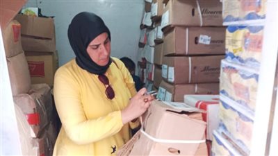 محاضر بالجملة في حملات تموينية بالإسكندرية 